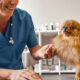 How Veterinarians Can Take Charge of Their Own Happiness