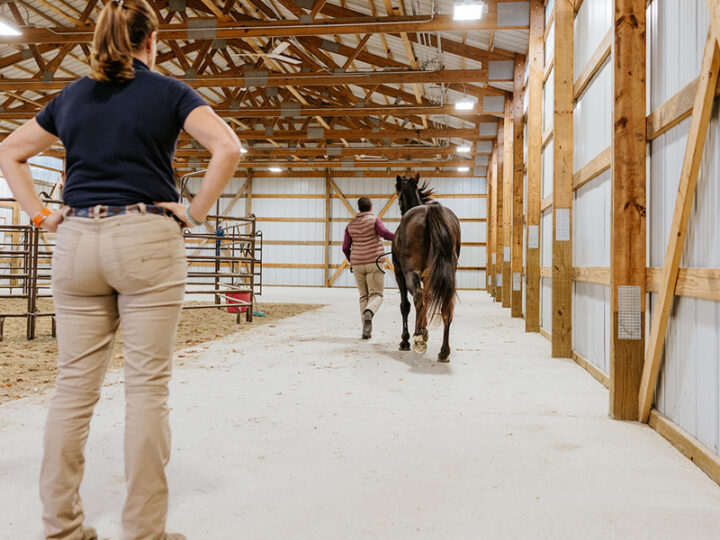 Tips for Creating a Heart-Centered and Low-Stress Veterinary Practice
