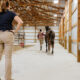 Tips for Creating a Heart-Centered and Low-Stress Veterinary Practice