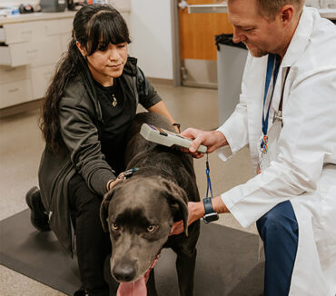 Understanding Employee Benefits as a Future Veterinarian