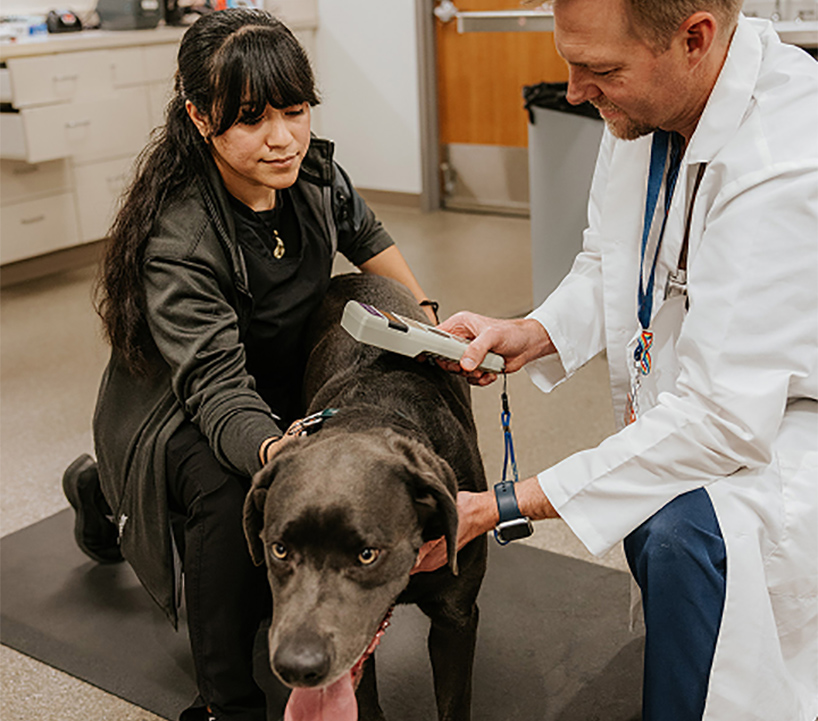 Understanding Employee Benefits as a Future Veterinarian